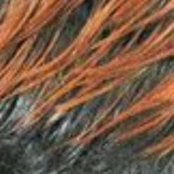 SENSUAL - VELLA KARA WIG -Zoe Beauty Supply Shop 2T3394 956b44da 823a 4a06 b1de 6a6c60872685