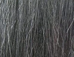 FREETRESS - EQUAL UPDO - GALA UPDO 22 FREETRESS - EQUAL UPDO - GALA UPDO -Zoe Beauty Supply Shop 34 1 d220484c 03a9 43d7 99ed 48f8f31bc044