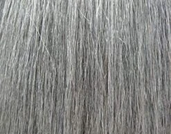 MISS WISDOM - KANE (DRAW STRING) -Zoe Beauty Supply Shop 51 1 fb55780e bcef 49b4 9d84 ffd3c0a8c750