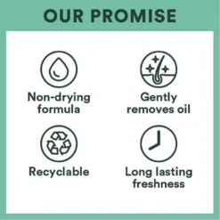 BATISTE - Dry Shampoo Blush -Zoe Beauty Supply Shop 51hzrx8z43L. SL1000 32bd520d 62f0 4d7c a903 8477a3f25825