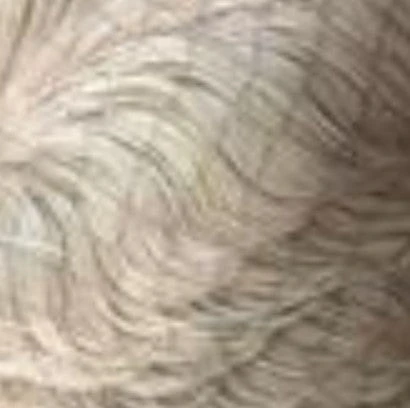 SENSUAL - VELLA ENVY WIG 8 SENSUAL - VELLA ENVY WIG - Image 8