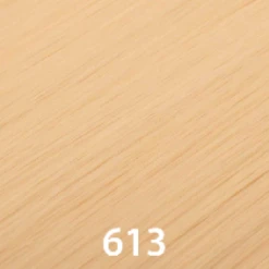 AVANTI - Pony Tail Jaw Clip-On/Drawstring 18" BEAUTY -Zoe Beauty Supply Shop 613 f73fc734 9f7f 41f4 852f 177edf5cd519