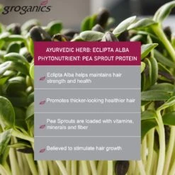 Groganics - Moleculizing Root Lifter -Zoe Beauty Supply Shop 61t jv7wb4L. SL1080 8315bfa5 2bad 477e be09 2047ee2e3b50