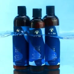 AS I AM - Dry & Itchy Scalp Care Dandruff Shampoo -Zoe Beauty Supply Shop 71dzhMQGBmL. SL1500