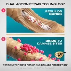 OGX - Repair & Protect Bond Protein Repair Sealing Hair Serum -Zoe Beauty Supply Shop 810a5ExOiBL. SL1500