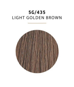 WELLA - Color Charm Permanent Liquid Hair Toner 5G/435 Light Golden Brown -Zoe Beauty Supply Shop 81A9iyF4TwL. SL1500 3cda17fd 62bf 46c4 8929 445f6a1f7739