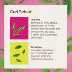 Curl Rehab - Scalp Care Tea Tree & Green Tea 2-IN-1 Shampoo Conditioner -Zoe Beauty Supply Shop 81 aLipnPvS. SL1500
