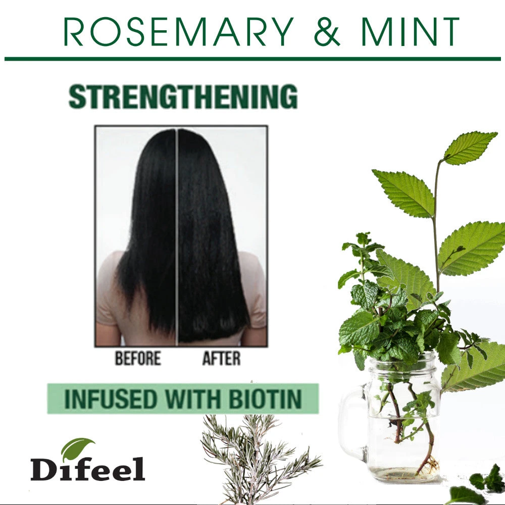 Difeel - ROSEMARY AND MINT PREMIUM HAIR OIL WITH BIOTIN 3 Difeel - ROSEMARY AND MINT PREMIUM HAIR OIL WITH BIOTIN - Image 3