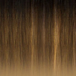 OUTRE - LACE FRONT WIG MELTED HAIRLINE SABRINA HT -Zoe Beauty Supply Shop DR2 BL BROWN SUGAR 4ea4f818 787d 4769 9e9b 45aeaece6b18