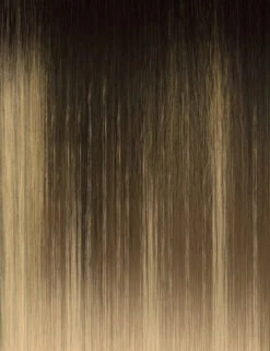 OUTRE - LACE FRONT WIG - AVANI - HT 30 OUTRE - LACE FRONT WIG - AVANI - HT -Zoe Beauty Supply Shop DRFF2 BRONDE BALAYAGE