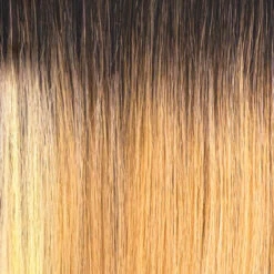 OUTRE - LACE FRONT WIG MELTED HAIRLINE - HARPER HT -Zoe Beauty Supply Shop DRFF4 Golden Honey 7f82e66e 0390 4d2a b92f 7f4de105bf5c