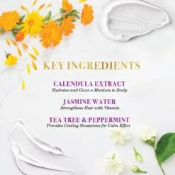 EBIN - BRAID FORMULA DR. FEEL GOOD -Zoe Beauty Supply Shop EBN23 BRF BFDF1000 PDP 231227 01 1 1800x1800 ec2fbced 87ca 4d91 94b7 2773da3f4542