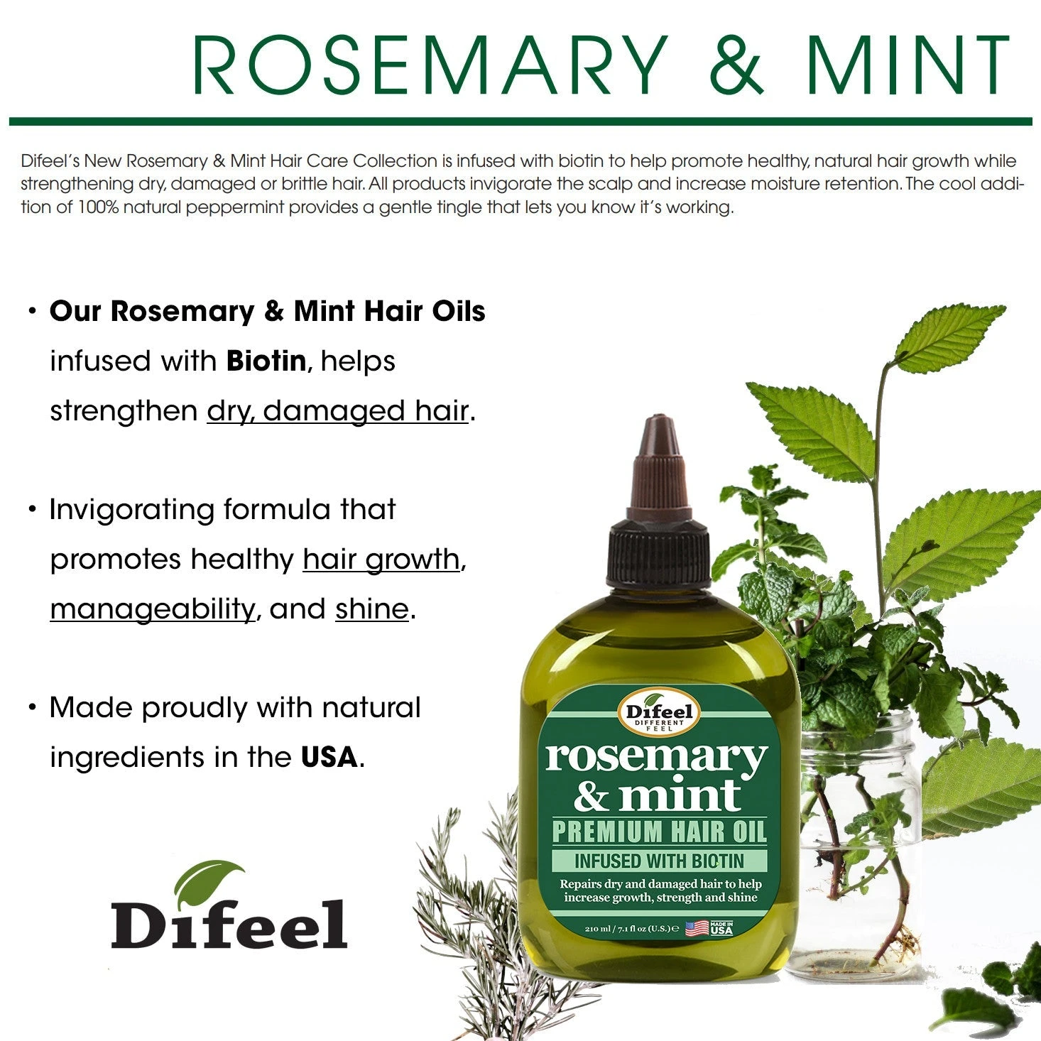Difeel - ROSEMARY AND MINT PREMIUM HAIR OIL WITH BIOTIN 2 Difeel - ROSEMARY AND MINT PREMIUM HAIR OIL WITH BIOTIN - Image 2