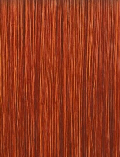 OUTRE - LACE FRONT WIG - AVANI - HT 34 OUTRE - LACE FRONT WIG - AVANI - HT -Zoe Beauty Supply Shop GINGER COPPER