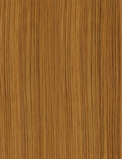 OUTRE - LACE FRONT WIG - AVANI - HT 33 OUTRE - LACE FRONT WIG - AVANI - HT -Zoe Beauty Supply Shop GOLDEN AMBER