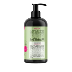 MIELLE - Rosemary Mint Strengthening Conditioner -Zoe Beauty Supply Shop Mielle RMMINT conditionerV2 side2 5000x a608b1ab e98b 4258 b30a 609f17ab7d91
