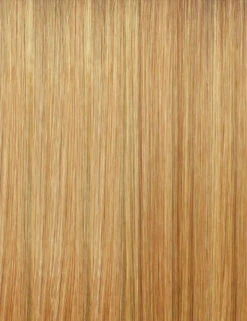 OUTRE - LACE FRONT WIG - PERFECT HAIR LINE 13X4 - ALORA - HT -Zoe Beauty Supply Shop NATURALHONEY 7d1c2c0a 9480 4271 a8ef 75c2f27c4172