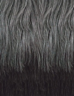 OUTRE - FAB & FLY FULL CAP WIG GRAY GLAMOUR- HH - CELIA -Zoe Beauty Supply Shop OM280 44