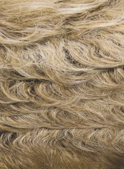 SISTER WIG - SPECIAL COLOR FULL WIG FW-MABEL -Zoe Beauty Supply Shop SOMCAPPUCCINO