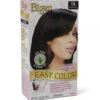 Bigen - Easy Color Natural Hair Dye 2.82oz (4 Different Colors) -Zoe Beauty Supply Shop Screenshot2021 09 03145155