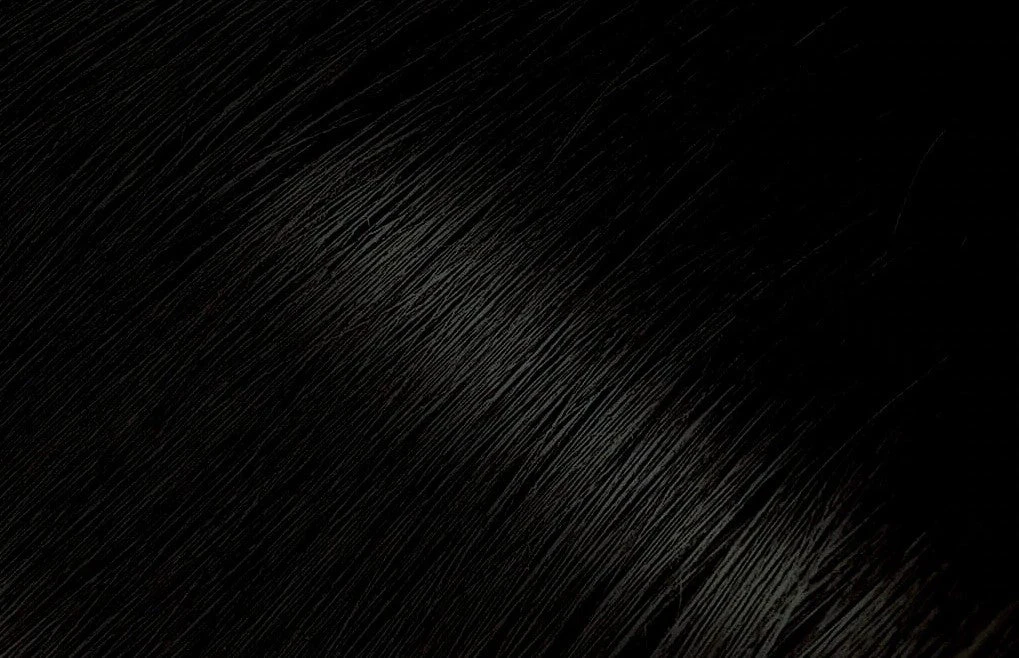 Bigen - Permanent Powder Hair Color 59 Oriental Black 2 Bigen - Permanent Powder Hair Color 59 Oriental Black - Image 2