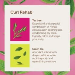 Curl Rehab - Scalp Care Tea Tree & Green Tea Cooling Oil Treatment And Revitalizing Mask 11 Curl Rehab - Scalp Care Tea Tree & Green Tea Cooling Oil Treatment And Revitalizing Mask -Zoe Beauty Supply Shop bdf3fb85 c270 4b0c ad2b 0d41ba1bf587.14dd7a15528cd59c91b82036850d3076