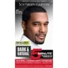 SoftSheen Carson - Dark & Natural 5 Minute Shampoo-In Hair Color JET BLACK